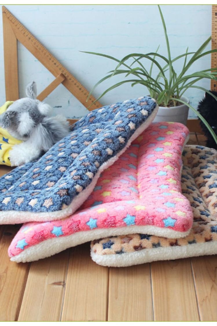 🐾 Cama Antidesgarro para Perros y Gatos – Colchoneta Acolchonada M