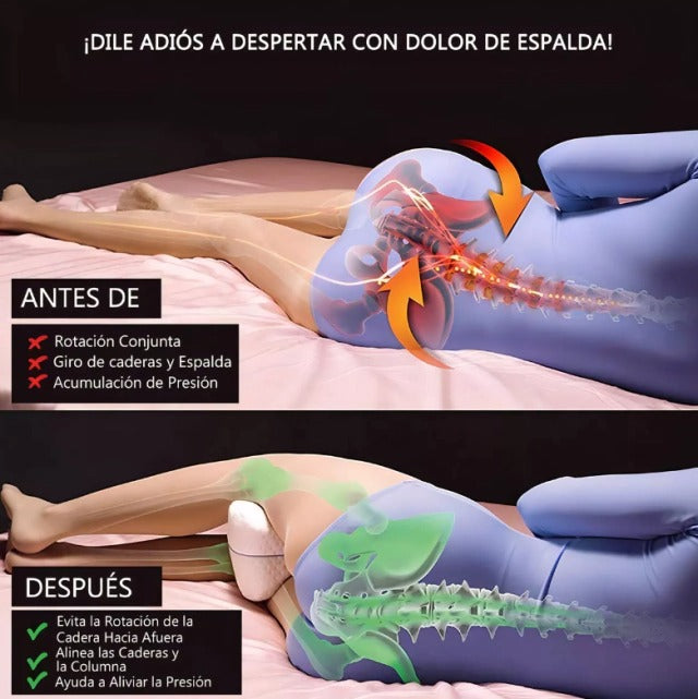 Almohada Anatómica Contour Ortopédica Alivio Dolor Espalda