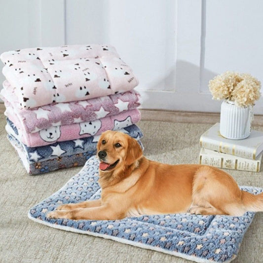 🐾 Cama Antidesgarro para Perros y Gatos – Colchoneta Acolchonada M