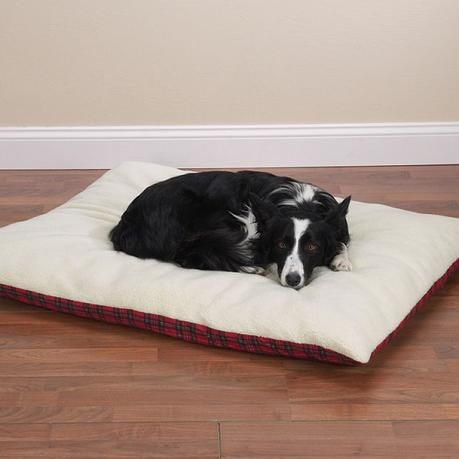 🐾 Cama Antidesgarro para Perros y Gatos – Colchoneta Acolchonada M